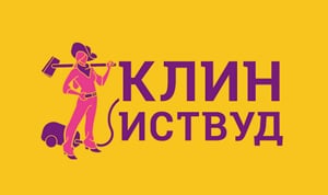 Вариант логотипа оформленного на желтом фоне